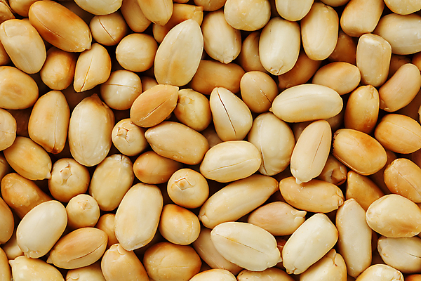 포토 JPG 해외이미지 백그라운드 실내 근접촬영 사람없음 견과류 가득함 땅콩 해외포토 뷰포인트 내부 파일형식 이미지허브