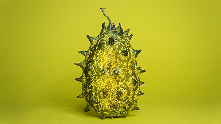 포토 JPG 해외이미지 채소 과일 오이 뿔 사람없음 노란색 가시 멜론 오브젝트 스파이크 노란배경 해외포토 컬러 백그라운드 파일형식 이미지허브