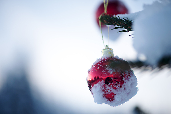 포토 JPG 해외이미지 주간 크리스마스장식 겨울 매달리기 사람없음 야외 아웃포커스 눈 소프트포커스 걸림 오너먼트 해외포토 자연요소 계절 크리스마스 모션 날씨 촬영기법 파일형식 이미지허브