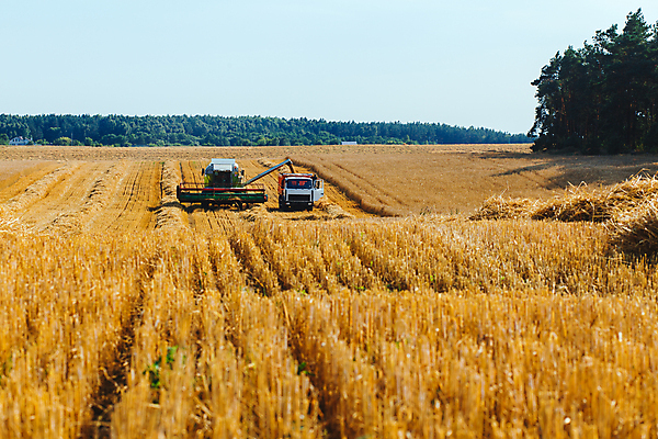 포토 JPG 해외이미지 주간 밭 농업 사람없음 야외 농경지 트랙터 밭일 해외포토 자연요소 산업 농장 농기계 특수차량 파일형식 이미지허브