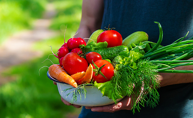 포토 JPG 해외이미지 식물 손 배너 음식 백그라운드 농업 토마토 채소 과일 자연 건강 사람 사람없음 야외 빨간색 초록색 농작물 상자 농장 바구니 정원 당근 수확 성장 신선 잡기 시장 농부 먹기 유기농 원예 날것 후추 내추럴 숙성 원예사 채식주의자 카피스페이스 세련 해외포토 직업 웰빙 산업 컬러 모션 뿌리채소 취미 신체부위 공백 향신료 생태계 채식 파일형식 이미지허브