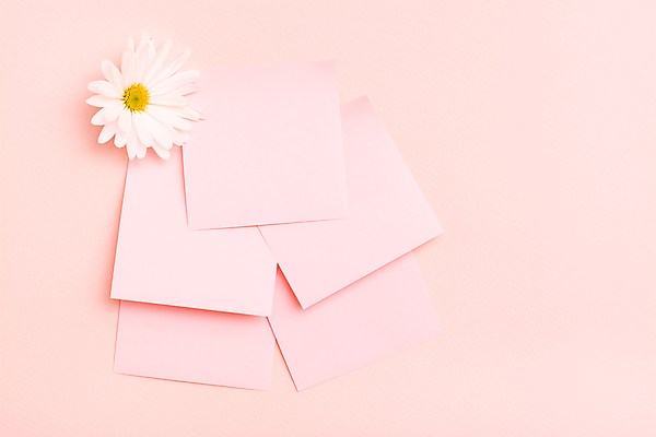 포토 JPG 해외이미지 꽃 분홍색 사람없음 메모지 오브젝트 카피스페이스 해외일러스트 식물 컬러 사무용품 공백 파일형식 이미지허브