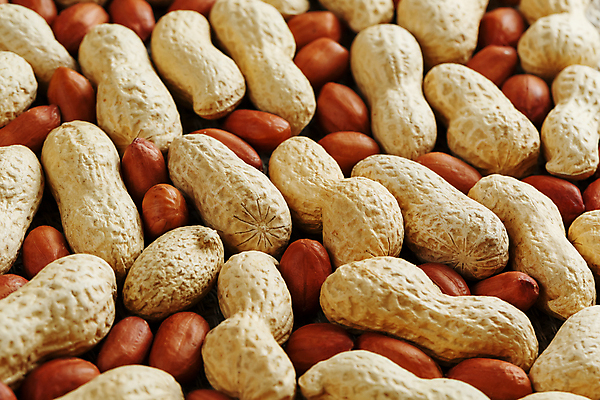 포토 JPG 해외이미지 실내 근접촬영 사람없음 견과류 가득함 유기농 땅콩 땅콩껍질 해외포토 웰빙 뷰포인트 내부 껍질 파일형식 이미지허브