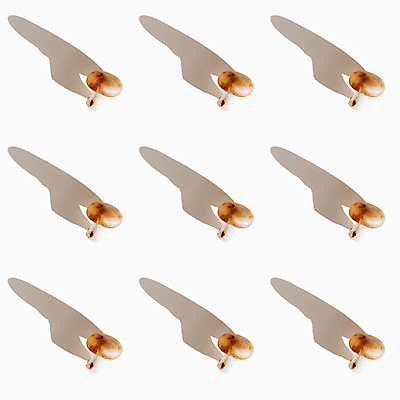 포토 JPG 해외이미지 식물 디자인 계절 음식 백그라운드 패턴 다이어트 채소 재료 자연 건강 사람없음 갈색 식사 버섯 흰색 신선 그룹 맛 유기농 질감 날것 내추럴 고립 곰팡이 숙성 식용 채식주의자 스타일 힙스터 비건 미니멀 맛있는 해외포토 웰빙 패션 컬러 컨셉 무늬 생태계 채식 파일형식 이미지허브