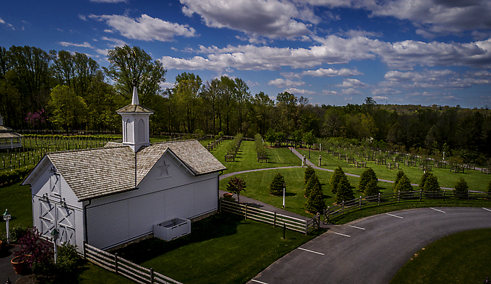 포토 JPG 해외이미지 식물 외관 꽃 백그라운드 농업 자연 휴식 안테나 사람없음 야외 와인 정원 맑음 미국 낭만 시골 신선 보호 포도밭 포도나무 방갈로 드론 밭일 생태학 양조장 원예사 포상금 회복 해외포토 직업 교육 산업 컨셉 돈 북아메리카 밭 통신 숙소 날씨 주류 과일나무 생태계 파일형식 이미지허브