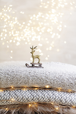 포토 JPG 해외이미지 나무 라이프스타일 디자인 계절 별 백그라운드 크리스마스 겨울 탁자 휴가 새해 주택 따뜻함 사람없음 목재 장식 크리스마스트리 우주 축제 낭만 수확 흰색 시골 신용카드 12월 스웨터 심볼 전나무 양모 구성 정물화 크리스마스배경 안락 해외포토 자연요소 식물 기념일 컬러 가구 컨셉 상의 농업 재료 건물 생활 금융 직물 날짜 그림 파일형식 이미지허브