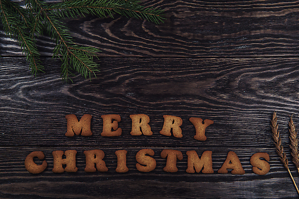 포토 JPG 해외이미지 잎 크리스마스 실내 사람없음 쿠키 진저쿠키 나무배경 해외포토 식물 기념일 백그라운드 디저트 내부 파일형식 이미지허브