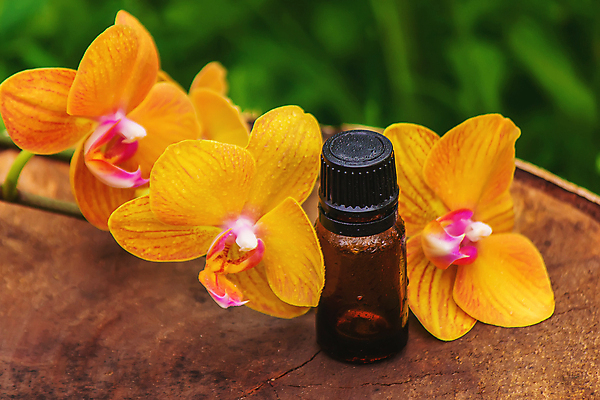 포토 JPG 해외이미지 식물 꽃 선 백그라운드 신체 자연 유리 휴식 건강 사람없음 치료 뷰티 약 노란색 검은색 스파 화장품 낭만 조약돌 흰색 신선 액체 난초 허브 대나무 향수 휴양지 향기 아로마 향 닦기 아로마테라피 테라피 내추럴 돌봄 에센스 해외포토 나무 컬러 컨셉 의학 모션 재질 장소 돌_바위 생태계 냄새 파일형식 이미지허브