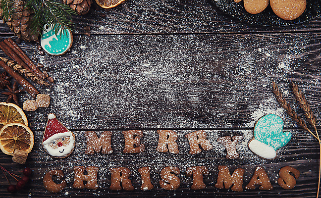 포토 JPG 해외이미지 크리스마스 실내 사람없음 쿠키 산타모양 슈가파우더 진저쿠키 나무배경 해외포토 모양 기념일 백그라운드 디저트 내부 산타클로스 파일형식 이미지허브