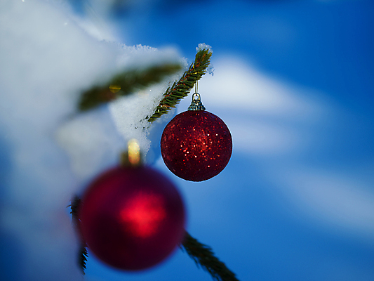 포토 JPG 해외이미지 주간 크리스마스장식 겨울 매달리기 사람없음 야외 아웃포커스 눈 소프트포커스 걸림 오너먼트 해외포토 자연요소 계절 크리스마스 모션 날씨 촬영기법 파일형식 이미지허브