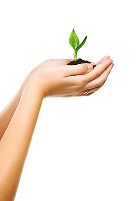 포토 JPG 해외이미지 손 들기 신체부위 새싹 자연보호 희망 흙 성장 손모으기 해외포토 식물 감정 모션 자연 사람 손짓 보호 파일형식 이미지허브