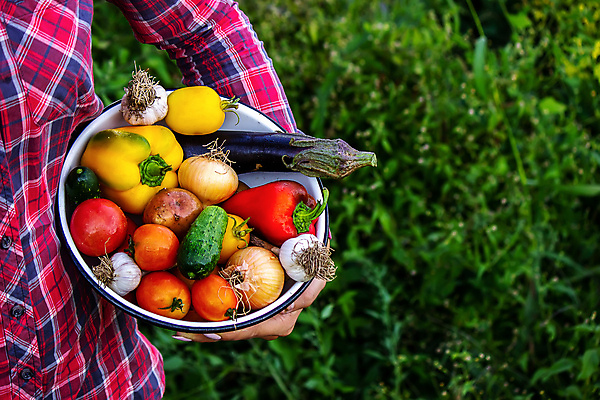 포토 JPG 해외이미지 백인 1 라이프스타일 여자 행복 음식 백그라운드 다이어트 채소 건강 미소 웃음 사람 성인 사람없음 초록색 뷰티 머리 바구니 기쁨 샐러드 흰색 신선 잡기 입 치아 아침식사 먹기 가득함 유기농 밀짚 점심식사 고립 채식주의자 유일 해외포토 서양인 웰빙 감정 컬러 모션 표정 생활 신체부위 식사 소화기관 짚 채식 파일형식 이미지허브
