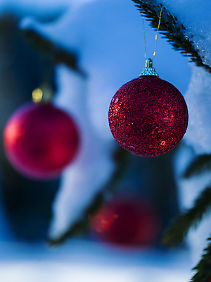 포토 JPG 해외이미지 주간 크리스마스장식 겨울 매달리기 사람없음 야외 아웃포커스 눈 걸림 오너먼트 해외포토 자연요소 계절 크리스마스 모션 날씨 촬영기법 파일형식 이미지허브