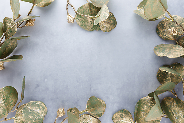 포토 JPG 해외이미지 크리스마스장식 겨울 회색배경 프레임 실내 사람없음 하이앵글 유칼립투스 카피스페이스 해외포토 식물 계절 뷰포인트 백그라운드 크리스마스 내부 공백 회색 파일형식 이미지허브