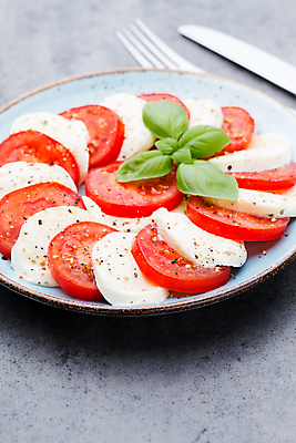포토 JPG 해외이미지 토마토 회색배경 치즈 실내 사람없음 카프레제 해외포토 백그라운드 채소 유제품 내부 샐러드 회색 파일형식 이미지허브