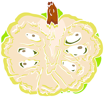 포토 JPG 해외이미지 식물 음식 잎 농업 과일 일러스트 자연 디저트 건강 씨앗 사람없음 세트 정원 수확 신선 달콤 사과 설탕 스케치 수집 메뉴 유기농 손그림 내추럴 이국적 채식주의자 현실 맛있는 해외일러스트 웰빙 산업 미술 맛 생태계 채식 파일형식 이미지허브