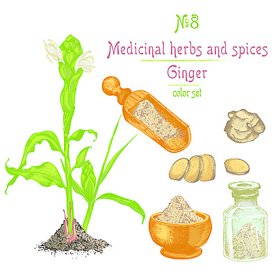 포토 JPG 해외이미지 식물 손 디자인 꽃 음식 조각 백그라운드 잎 채소 일러스트 재료 추상 잉크 한국 건강 동양인 사람없음 그래픽 세트 약 연필 검은색 중국 수확 흰색 신선 차 가루 스케치 인도인 약국 허브 향신료 그림 유기농 복고 뿌리 생강 물약 고립 막자 옛날 강황 디톡스 해외포토 외국인 웰빙 아시아 음료 컬러 무늬 농업 식재료 의학 학용품 미술 인종 신체부위 필기구 향미료 파일형식 이미지허브