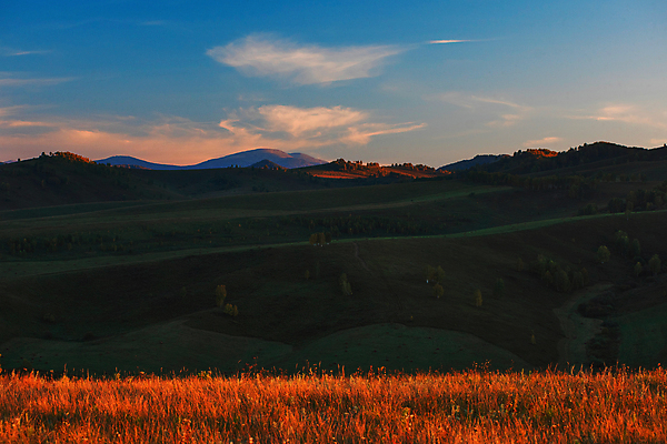 포토 JPG 해외이미지 주간 나무 사람없음 야외 숲 땅 러시아 침엽수 해외포토 자연요소 식물 유럽 파일형식 이미지허브