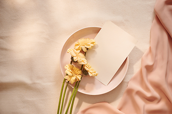 포토 JPG 해외이미지 꽃 실내 사람없음 편지 편지지 오브젝트 거베라 베이지색배경 해외포토 식물 백그라운드 내부 베이지색 파일형식 이미지허브