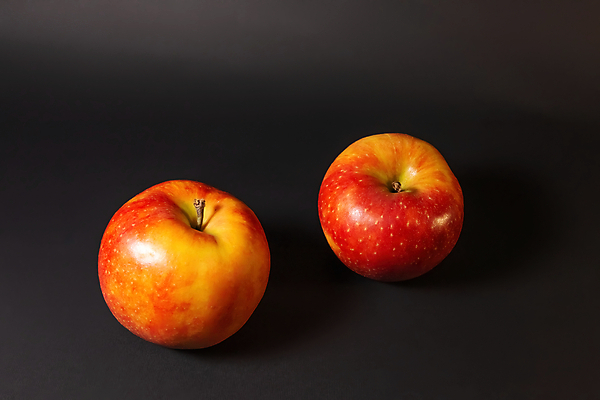 포토 JPG 해외이미지 과일 검은배경 실내 사람없음 두개 사과 해외포토 백그라운드 2 내부 검은색 파일형식 이미지허브