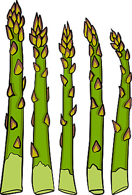 포토 JPG 해외이미지 접시 계절 창 음식 줄기 백그라운드 밭 농업 채소 일러스트 재료 자연 건강 요리 사람없음 목재 초록색 세트 주방 식당 식사 샐러드 수확 흰색 시골 신선 맛 그릴 농부 정상 다발 허브 유기농 아스파라거스 날것 점심식사 고립 생식 숙성 채식주의자 비건 해외일러스트 나무 식물 직업 식기 웰빙 산업 무기 컬러 컨셉 주방용품 상점 생태계 채식 파일형식 이미지허브