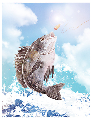 PSD 구름 한마리 파도 바다 하늘색 일러스트 낚시 취미 사람없음 햇빛 낚싯바늘 바다낚시 낚시줄 낚시찌 손맛 월척 먹도미 국내일러스트 자연요소 1 레저 파란색 태양 낚시용품 맛 도미 파일형식