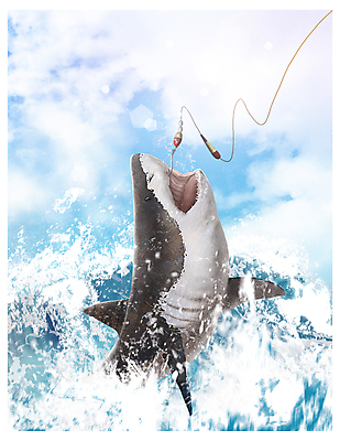 PSD 구름 한마리 파도 바다 하늘색 일러스트 낚시 취미 사람없음 햇빛 낚싯바늘 상어 바다낚시 낚시줄 낚시찌 손맛 월척 국내일러스트 자연요소 1 레저 어류 파란색 태양 낚시용품 맛 파일형식