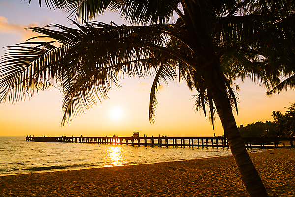 포토 JPG 해외이미지 나무 식물 여행 백그라운드 잎 자연 하늘 휴가 손바닥 사람없음 초록색 파란색 태양 맑음 일몰 코코넛 내추럴 이국적 파라다이스 해외포토 자연요소 손 컬러 과일 날씨 노을 생태계 파일형식 이미지허브