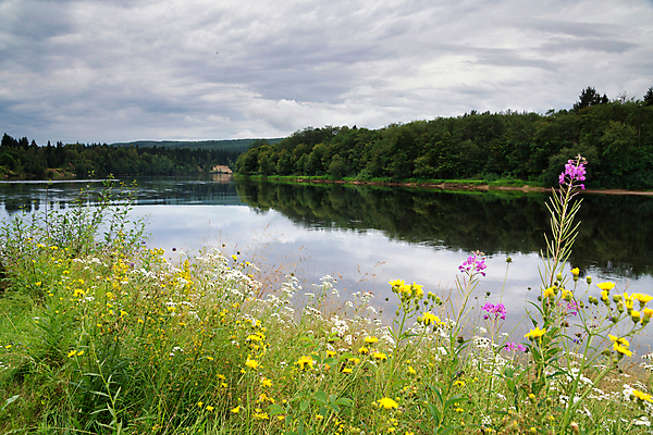 포토 JPG 해외이미지 나무 꽃 자연 하늘 산 파노라마 스웨덴 사람없음 물 강 반사 스칸디나비아 해외포토 자연요소 식물 촬영기법 북유럽 생태계 파일형식 이미지허브