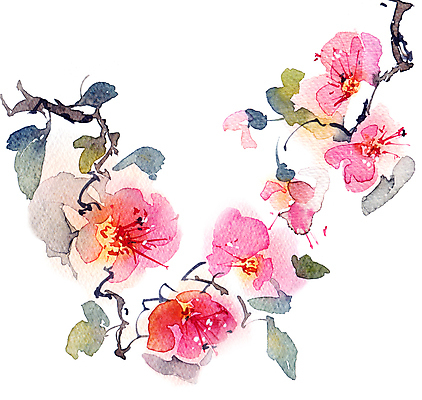 포토 JPG 해외이미지 나무 식물 전통 디자인 계절 꽃잎 꽃 줄기 잎 꽃무늬 일러스트 자연 잉크 미술 동양인 사람없음 그래픽 정원 봄 벚꽃 나뭇가지 붓 화려 스케치 그림 손그림 그런지 해외일러스트 컨셉 무늬 문화예술 인종 생태계 파일형식 이미지허브