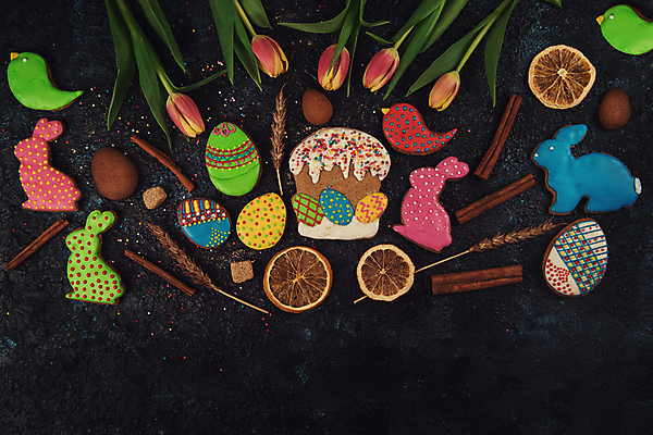 포토 JPG 해외이미지 꽃 잎 사람없음 장식 화려 부활절계란 건과일 새모양 시나몬 토끼모양 진저쿠키 스프링클 해외포토 모양 식물 컨셉 과일 부활절 건조 쿠키 계란 파일형식 이미지허브