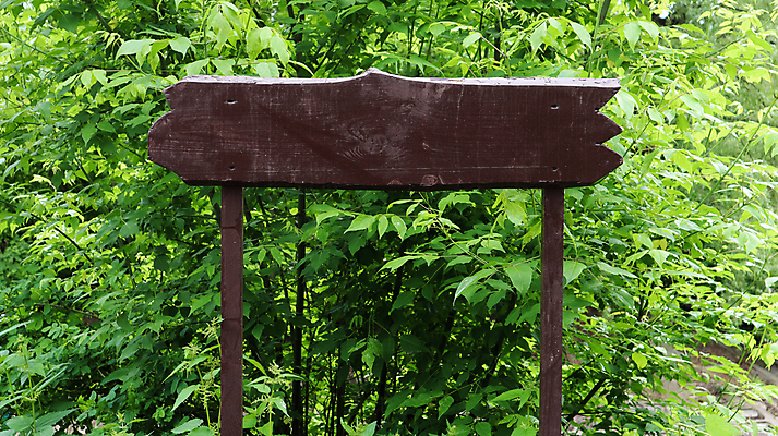 포토 JPG 해외이미지 나무 접시 배너 계절 공원 백그라운드 잎 패턴 자연 탁자 간판 광고판 잔디 초원 사람없음 야외 목재 초록색 여름 빛 갈색 우주 정원 맑음 봄 공백 정보 수확 표지판 널 숲 사인 질감 내추럴 명패 수목 옛날 카피스페이스 해외포토 식물 식기 공공시설 컬러 가구 무늬 농업 재료 날씨 알림판 생태계 판 파일형식 이미지허브
