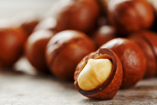 포토 JPG 해외이미지 근접촬영 사람없음 아웃포커스 견과류 껍질 유기농 해외포토 웰빙 뷰포인트 촬영기법 파일형식 이미지허브