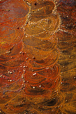 포토 JPG 해외이미지 백그라운드 재료 고추 파프리카 건조 사람없음 빨간색 컬러풀 어둠 양념 조미료 선택 정상 가루 허브 향신료 매움 아로마 후추 카레 모음 플랫레이 카피스페이스 해외포토 식물 음식 컬러 컨셉 채소 한글 공백 플랫 맛 향미료 파일형식 이미지허브