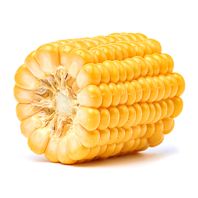 포토 JPG 해외이미지 식물 음식 조각 백그라운드 잎 농업 다이어트 채소 재료 자연 건강 옥수수 사람없음 초록색 농장 노란색 젖음 수확 껍질 신선 황금 달콤 맛 낟알 오브젝트 흰배경 유기농 알맹이 날것 내추럴 숙성 채식주의자 맛있는 해외포토 웰빙 산업 컬러 컨셉 곡류 흰색 생태계 채식 파일형식 이미지허브