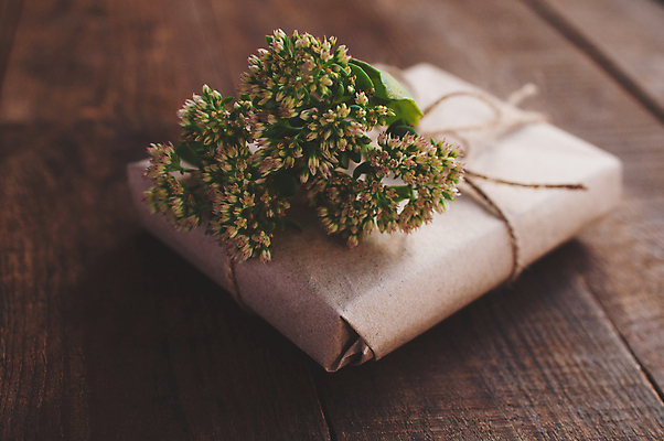 포토 JPG 해외이미지 식물 손 디자인 꽃 리본 종이 밧줄 꽃다발 백그라운드 컨셉 크리스마스 포장 자연 탁자 휴가 새해 발렌타인데이 선물 사람없음 목재 장식 초록색 상자 갈색 축제 놀람 수확 덮개 벚꽃 나뭇가지 시골 축하 생일 삼베 에코 유기농 복고 심플 팩 패키지 핸드메이드 해외포토 나무 웰빙 기념일 감정 줄 컬러 가구 농업 재료 데이이벤트 표정 신체부위 환경 화장품 뚜껑 생태계 파일형식 천_직물 이미지허브