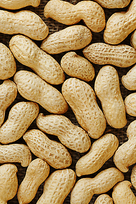 포토 JPG 해외이미지 백그라운드 실내 사람없음 농작물 견과류 가득함 유기농 땅콩 땅콩껍질 해외포토 웰빙 농업 내부 껍질 파일형식 이미지허브
