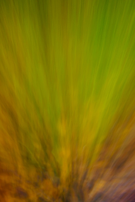 포토 JPG 해외이미지 템플릿 디자인 배너 포스터 선 파도 백그라운드 컨셉 패턴 일러스트 모션 벽지 추상 미래 창조 경사 사람없음 그래픽 장식 초록색 빛 컬러풀 갈색 우주 디지털 어둠 에너지 매끈함 소프트포커스 속도 역동적 부드러움 공상 내추럴 그런지 파스텔톤 혼란 환상 스타일 효과 해외일러스트 바다 컬러 무늬 촬영기법 감각 파일형식 이미지허브