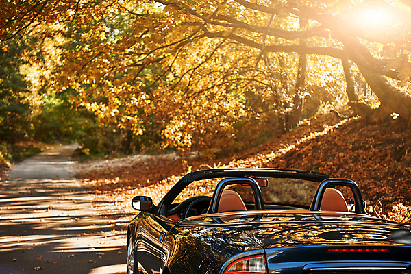 포토 JPG 해외이미지 나무 도로 여행 밭 곡선 교통시설 모션 자동차 자연 하늘 아침 풍경 초원 사람없음 야외 빛 햇빛 태양 일출 맑음 검은색 어둠 황혼 일몰 봄 회색 운전 시골 고속도로 은색 숲 아스팔트 땅 오픈카 속도 타이어 루트 방법 블러 자동 해외포토 주간 자연요소 식물 계절 길 선 육상교통 컬러 교통 농업 승용차 날씨 노을 시설 생태계 파일형식 이미지허브