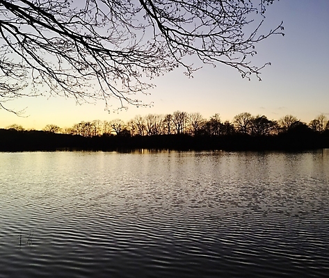 포토 JPG 해외이미지 나무 식물 공원 실루엣 호수 파도 바다 여행 백그라운드 곡선 자연 하늘 파노라마 사람없음 야외 초록색 물 파란색 빛 햇빛 태양 뷰티 반사 일출 환경 고요 황혼 일몰 봄 흐름 시골 야간 숲 잔물결 수평선 플로리다 해외포토 자연요소 계절 공공시설 물결 선 컬러 컨셉 촬영기법 노을 미국 생태계 파일형식 이미지허브