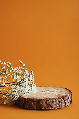 포토 JPG 해외이미지 식물 템플릿 디자인 백그라운드 컨셉 일러스트 자연 추상 설명 서기 사람없음 뷰티 갈색 유행 우주 화장품 전시 무대 신선 발표 상품 전시회 받침대 피부 오브젝트 유기농 질감 아스파라거스 쇼 장면 단상 내추럴 구성 에센스 지휘대 추출 목업 해외포토 웰빙 컬러 무늬 채소 모션 신체부위 생태계 파일형식 이미지허브