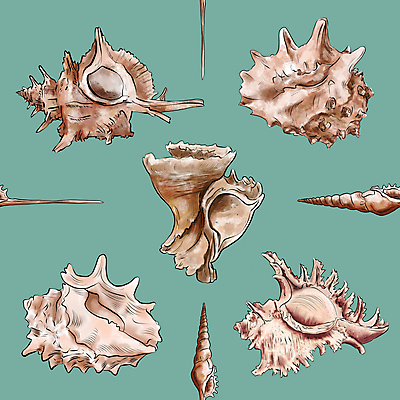 포토 JPG 해외이미지 모양 동물 실루엣 종이 야생동물 바다 백그라운드 패턴 일러스트 자연 벽지 표면 조개 불가사리 연체동물 사람없음 그래픽 장식 파란색 갈색 수확 껍질 직물 화려 산호 인쇄 만화 해산물 타일 묘사 그림 질감 복고 내추럴 엘리먼트 반복 해외일러스트 컬러 컨셉 무늬 농업 어패류 극피동물 무척추동물 촬영기법 자포동물 생태계 파일형식 이미지허브