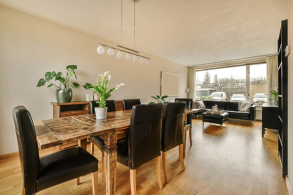 포토 JPG 해외이미지 화분 거실 의자 창문 식탁 전등 실내 사람없음 인테리어 소파 심플 나무탁자 해외포토 디자인 가구 탁자 조명 내부 파일형식 이미지허브