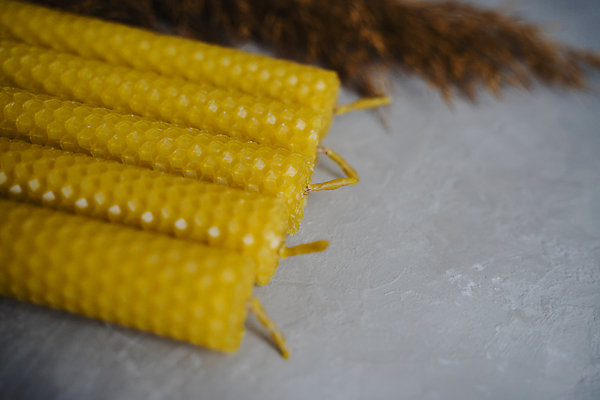 포토 JPG 해외이미지 전통 종교 백그라운드 컨셉 자연 불 휴가 부활절 따뜻함 건강 선물 취미 사람없음 내부 장식 세트 노란색 시골 황금 벌 천 오브젝트 에코 친환경 유기농 질감 아로마 롤 향 꿀 아로마테라피 벌집 내추럴 밀랍 심지 왁스 정물화 핸드메이드 카피스페이스 해외포토 자연요소 웰빙 기념일 컬러 곤충 환경 공백 직물 그림 생태계 테라피 파일형식 이미지허브