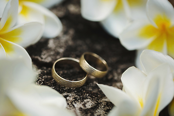 포토 JPG 해외이미지 꽃 사람없음 흙 화려 결혼반지 결혼소품 해외포토 식물 결혼 컨셉 반지 오브젝트 파일형식 이미지허브