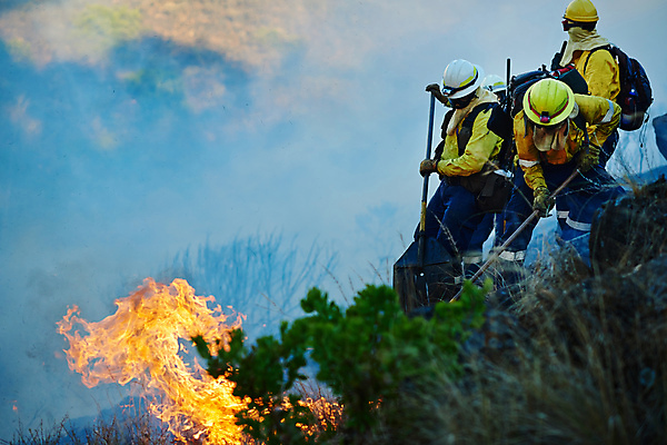 포토 JPG 해외이미지 주간 전신 남자 불 협력 들기 성인 야외 앞모습 옆모습 세명 소방관 소방 화재 화재진압 성인남자만 해외포토 자연요소 뷰포인트 모션 사람 구조원 사건 진압 남자만 성인만 파일형식 이미지허브