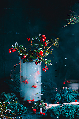 포토 JPG 해외이미지 열매 음료 겨울 과일 유리 따뜻함 건강 요리 사람없음 빨간색 식당 저녁식사 주스 카페 빵집 칵테일 뜨거움 달콤 맛 아침식사 숲 레모네이드 민트 메뉴 유기농 레시피 채식주의자 크랜베리 맛있는 해외포토 식물 웰빙 계절 컬러 컨셉 재질 주류 상점 식사 허브 채식 에이드 파일형식 이미지허브