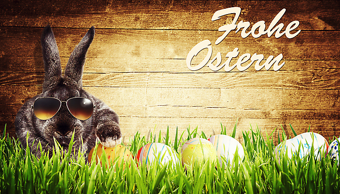 포토 JPG 해외이미지 동물 전통 계절 꽃 행복 어린이 백그라운드 밭 자연 휴가 기념 털 앉기 사람없음 장식 초록색 반려동물 농장 바구니 축제 봄 축하 토끼 인사 그리기 달콤 설치류 4월 모피 부활절계란 귀 솜털 해외포토 식물 감정 컬러 컨셉 농업 포유류 모션 부활절 사람 신체부위 계란 예절 날짜 맛 생태계 파일형식 이미지허브