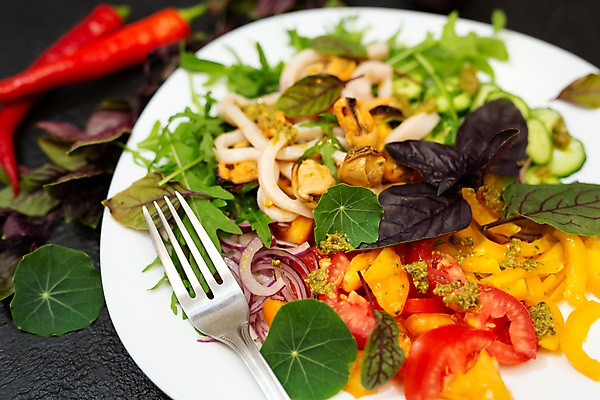 포토 JPG 해외이미지 접시 음식 백그라운드 잎 다이어트 토마토 채소 탁자 양파 오이 새우 건강 식이요법 어류 요리 사람없음 빨간색 초록색 식당 식사 저녁식사 이탈리아 샐러드 신선 체리 맛 상추 먹기 해산물 메뉴 오징어 유기농 날것 머리위 홍합 후추 시금치 바질 내추럴 점심식사 맛있는 해외포토 식물 식기 웰빙 유럽 컬러 가구 컨셉 과일 모션 어패류 연체동물 갑각류 상점 수중동물 향신료 파일형식 이미지허브