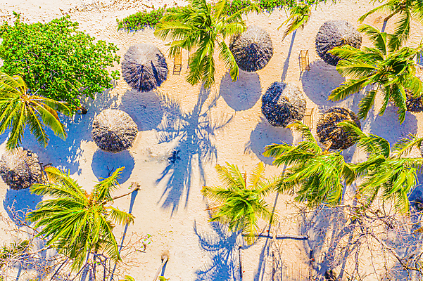 포토 JPG 해외이미지 주간 그림자 사람없음 야외 하이앵글 모래사장 야자수 파라솔 선베드 해외포토 자연요소 나무 바다 뷰포인트 의자 파일형식 이미지허브